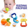 Baby Fruit Feeding Pacifier Multicolor Soft Plastic