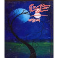 Sitara E Sham By Amna Riaz Urdu Novel A5 Paperback Urdu Literature