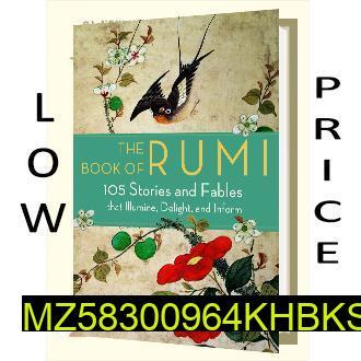 Rumi Book 105 Stories Fables Illustrated Cover