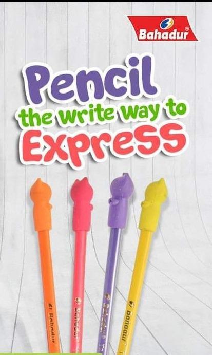 Kitty Pencil Set 48 Pcs Cat Shaped Graphite