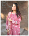 Blush 3 Pcs Women's Stitched Linen Embroidered Suit